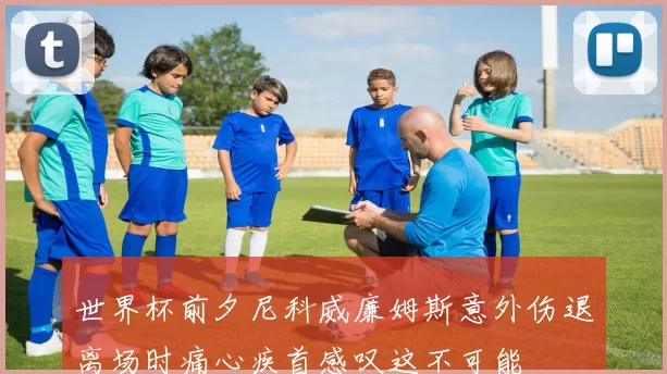 世界杯前夕尼科威廉姆斯意外伤退离场时痛心疾首感叹这不可能